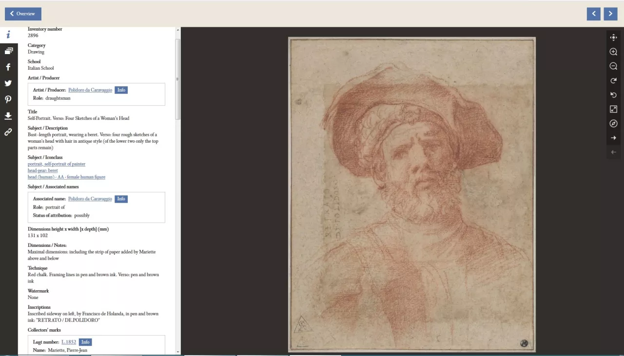 Fiche de l'{Autoportrait} de Polidoro da Caravaggio, inv. 2896