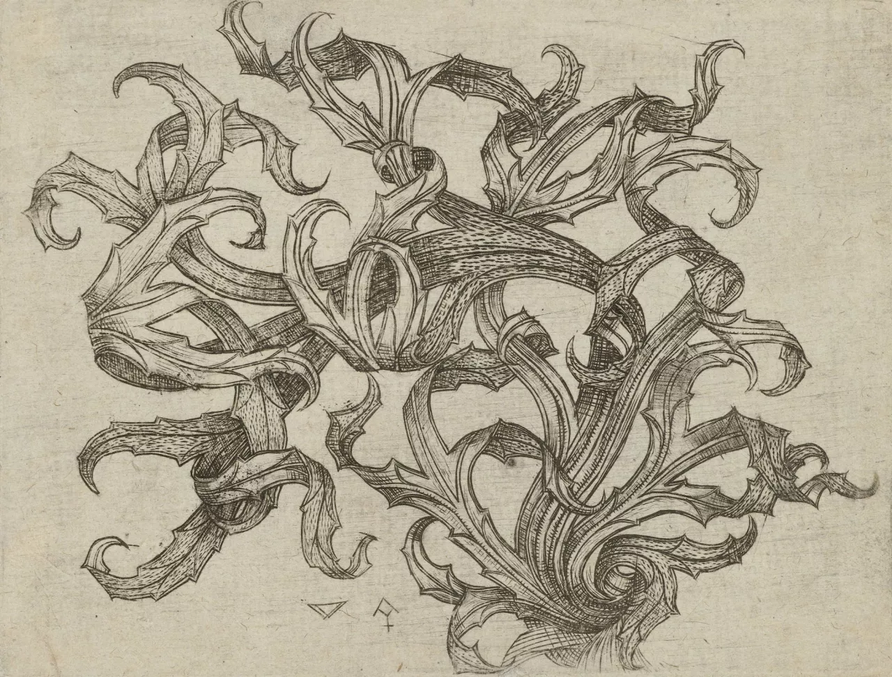 4. Monogrammiste W à la Clé, {Ornement de chardon}