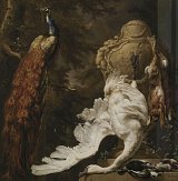 14. Jan Weenix (Amsterdam 1640 – 1719 Amsterdam), {Un paon et des trophées de chasse}, 1708