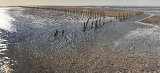 Siemen Dijkstra, {View of the Oethoezerwaad, no. 2, Oude Westereems}, 2012