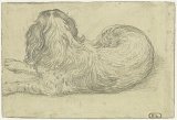 7b. Hendrick Goltzius (Bracht (Brüggen) 1558 – 1617 Haarlem), Verso : {Étude du même chien, vu de dos}, vers 1596