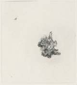 Frans Pannekoek, {Bébé taupe desséché}, 2005