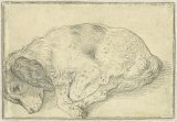 7a. Hendrick Goltzius (Bracht (Brüggen) 1558 – 1617 Haarlem), {Étude d'un chien endormi}, vers 1596