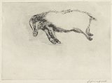 Frans Pannekoek, {Blaireau tué pendant la chasse}, 1972