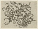 6. Monogrammiste W à la Clé, {Ornement de chardon}, vers 1465-1485