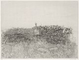 Charles Donker, {Tas de bois, jonc et ruche}, vers 1992