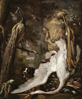 13. Jan Weenix (Amsterdam 1640 – 1719 Amsterdam), {Esquisse d'un paon et de trophées de chasse}, 1708