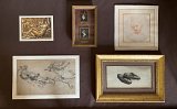 Acquisitions display