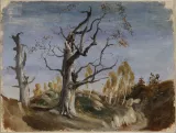 Anonyme français, XIXe siècle