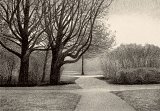 Rein Dool, {Wantijpark (Dordrecht)}, 2015