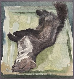 Siemen Dijkstra, {Dead Stone Marten}, 2012