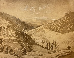 3. Exemple de dessin jauni par l'acidité de la feuille d'album