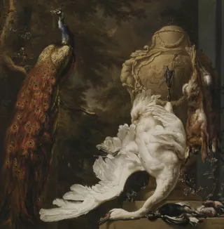 14. Jan Weenix (Amsterdam 1640 – 1719 Amsterdam), {Un paon et des trophées de chasse}, 1708