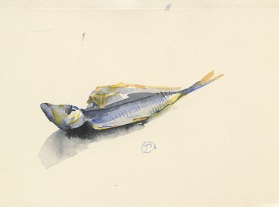 Gérard de Palézieux, {Sardine}