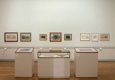 Vue de l'exposition {Dessins français du XIXe siècle}