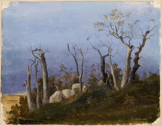 Anonyme français, XIXe siècle
