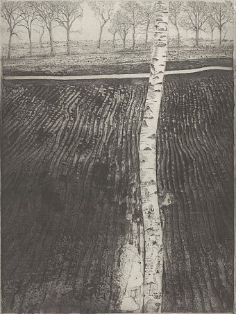 Charles Donker, {Bouleau près d'un champ (Bouleau III)}, vers 1991